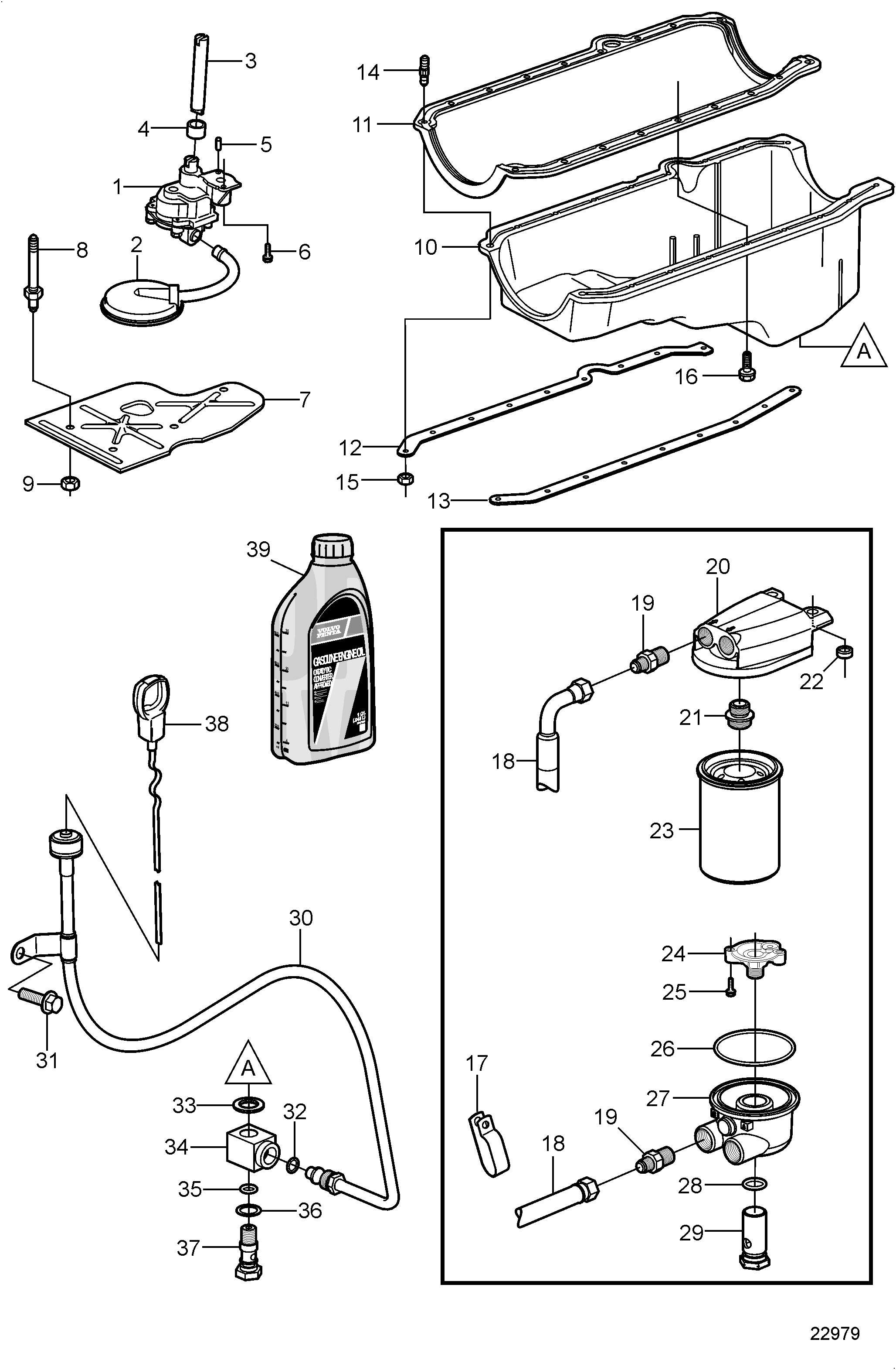 Cárter de aceite y bomba de aceite