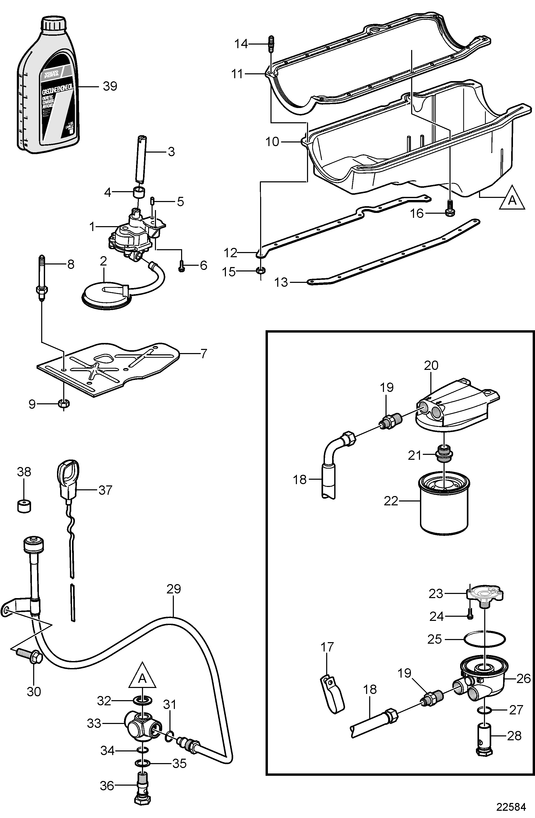 Cárter de aceite y bomba de aceite