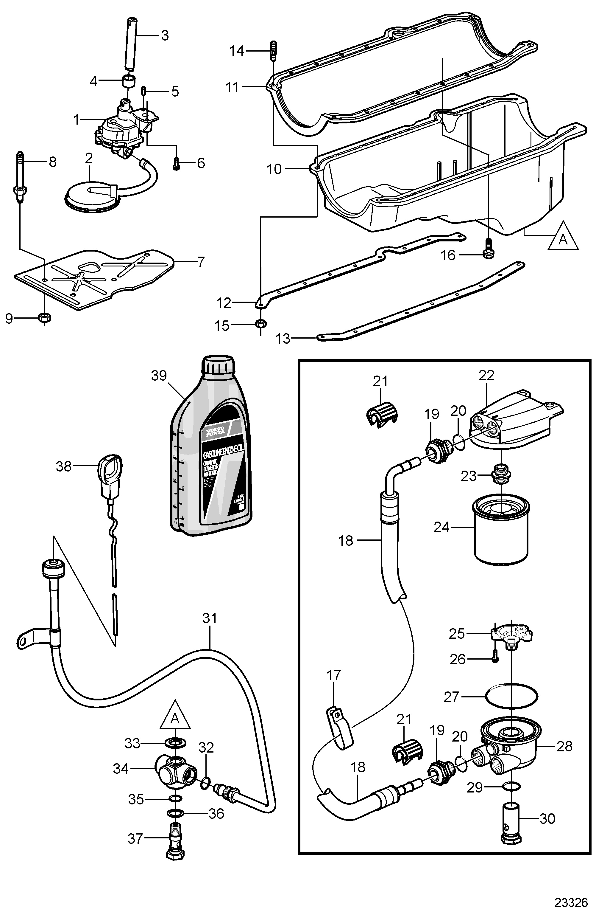 Cárter de aceite y bomba de aceite