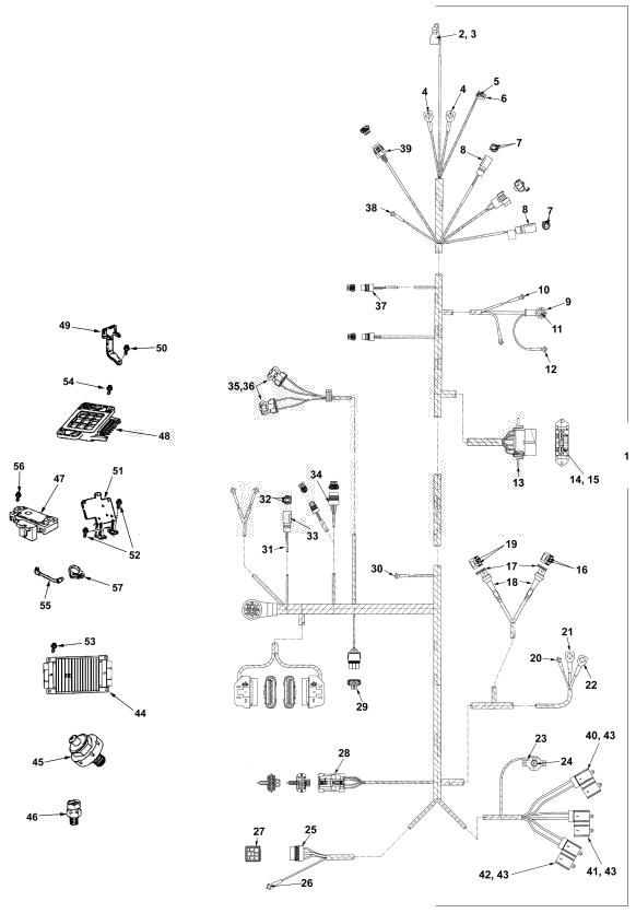 Faisceau du moteur