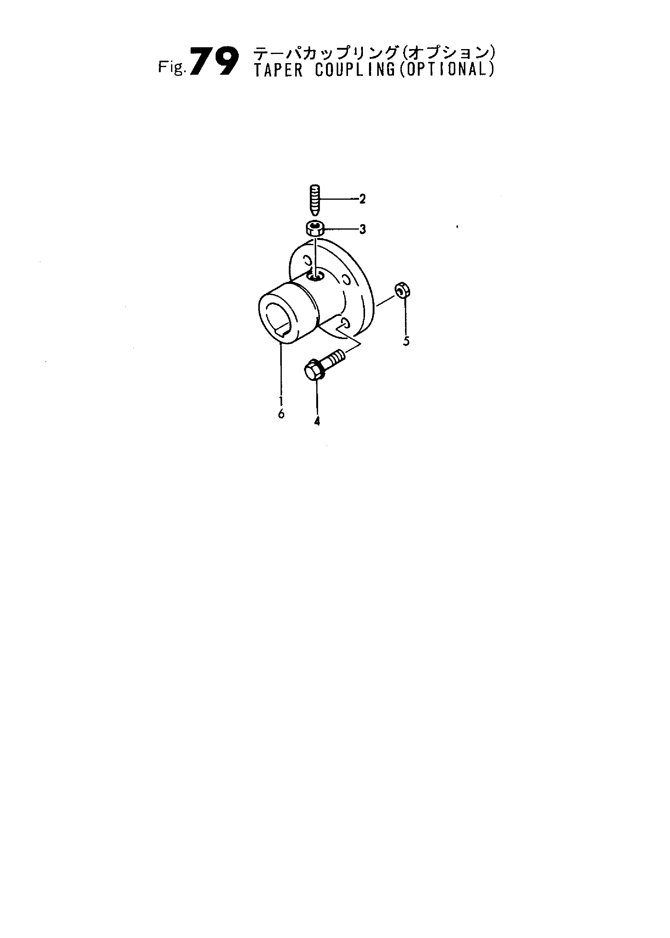 FIG 79. (OPTIONAL)