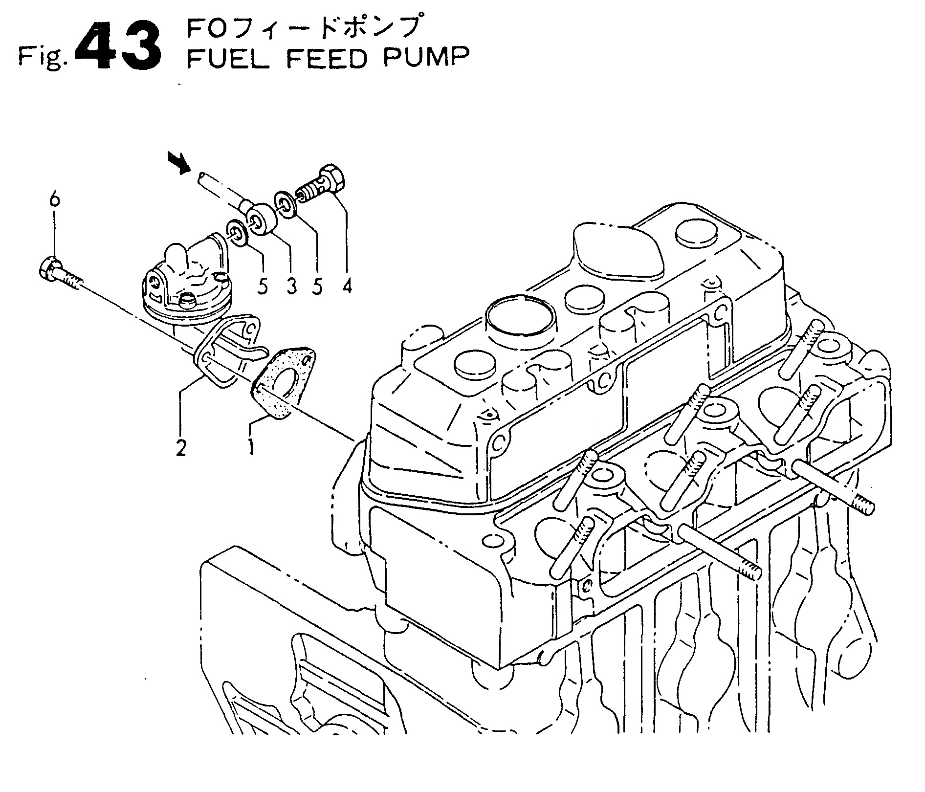FIG 43. POMMES DE FEU