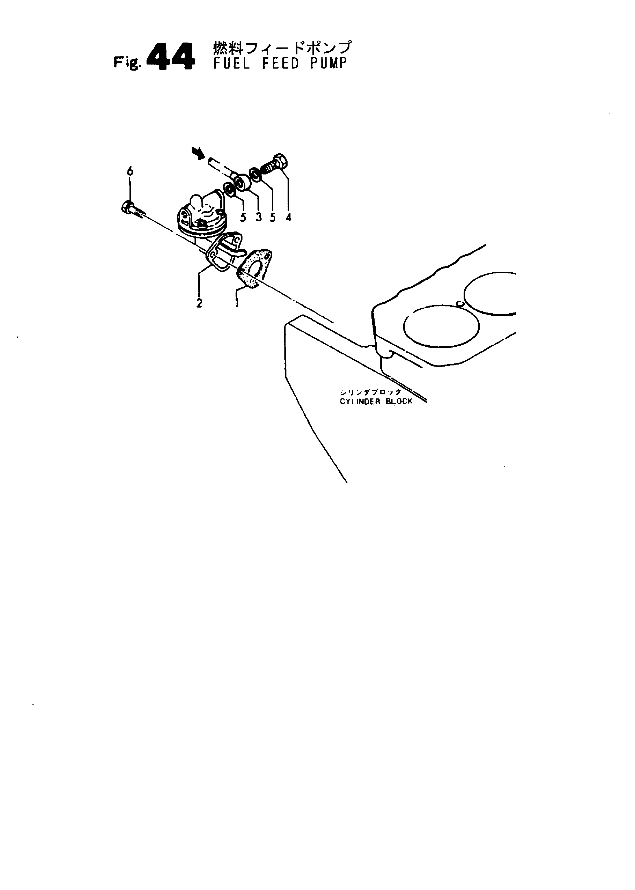 FIG 44. POMMES DE FEU