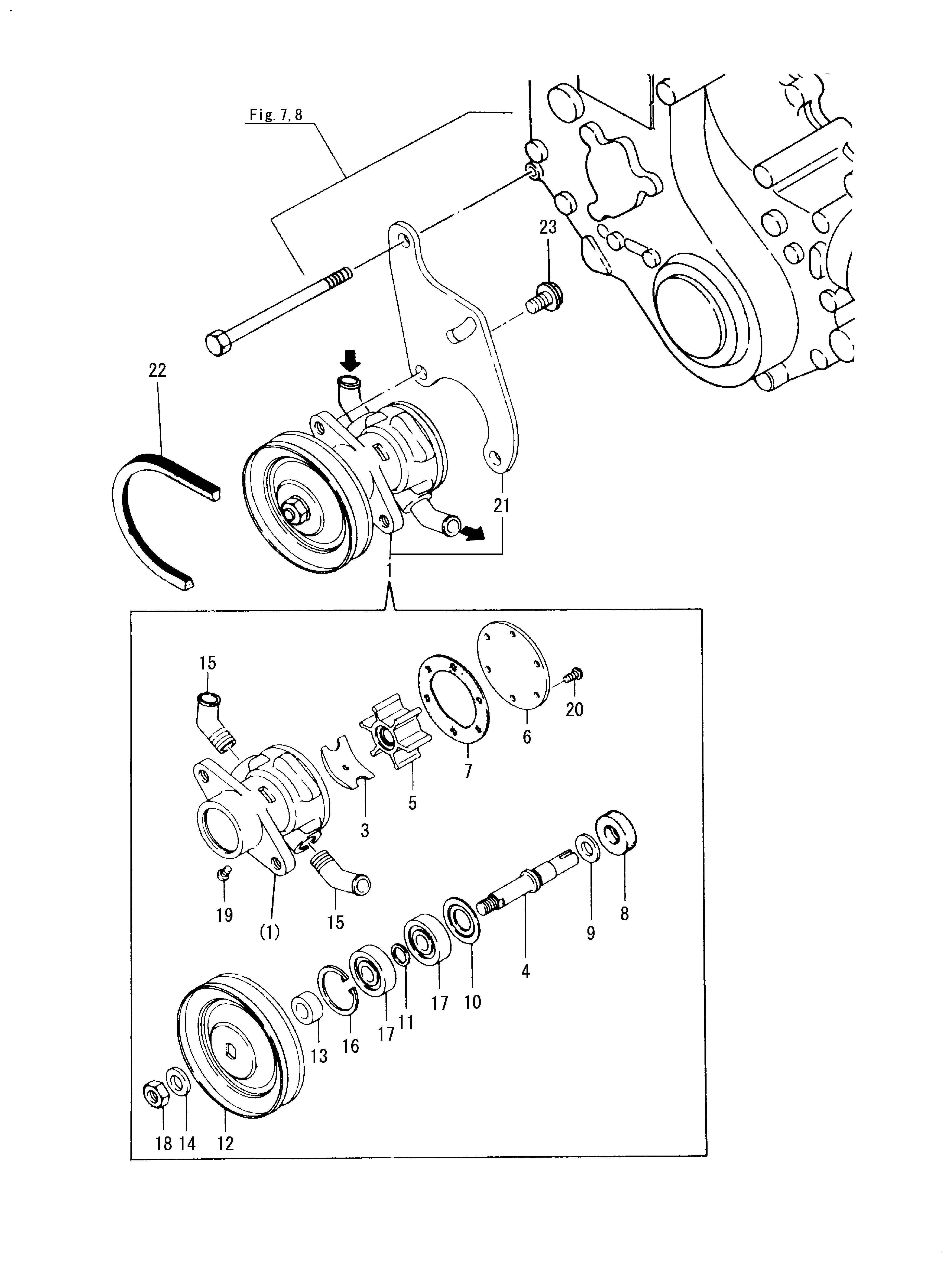 FIG 69. POMMES D'EAU DE COUVERTURE