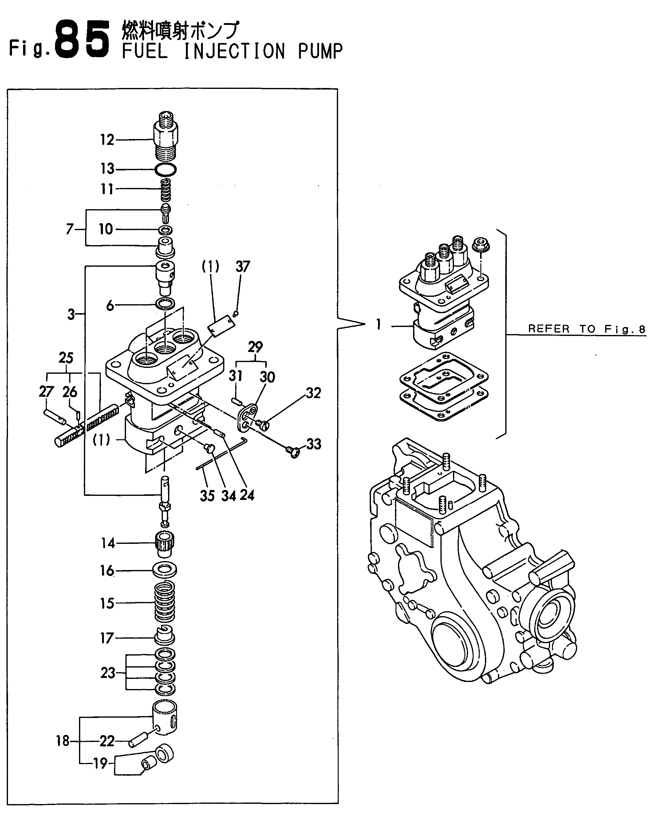 FIG 85. POMME D ' INJECTION DES FEUILLES