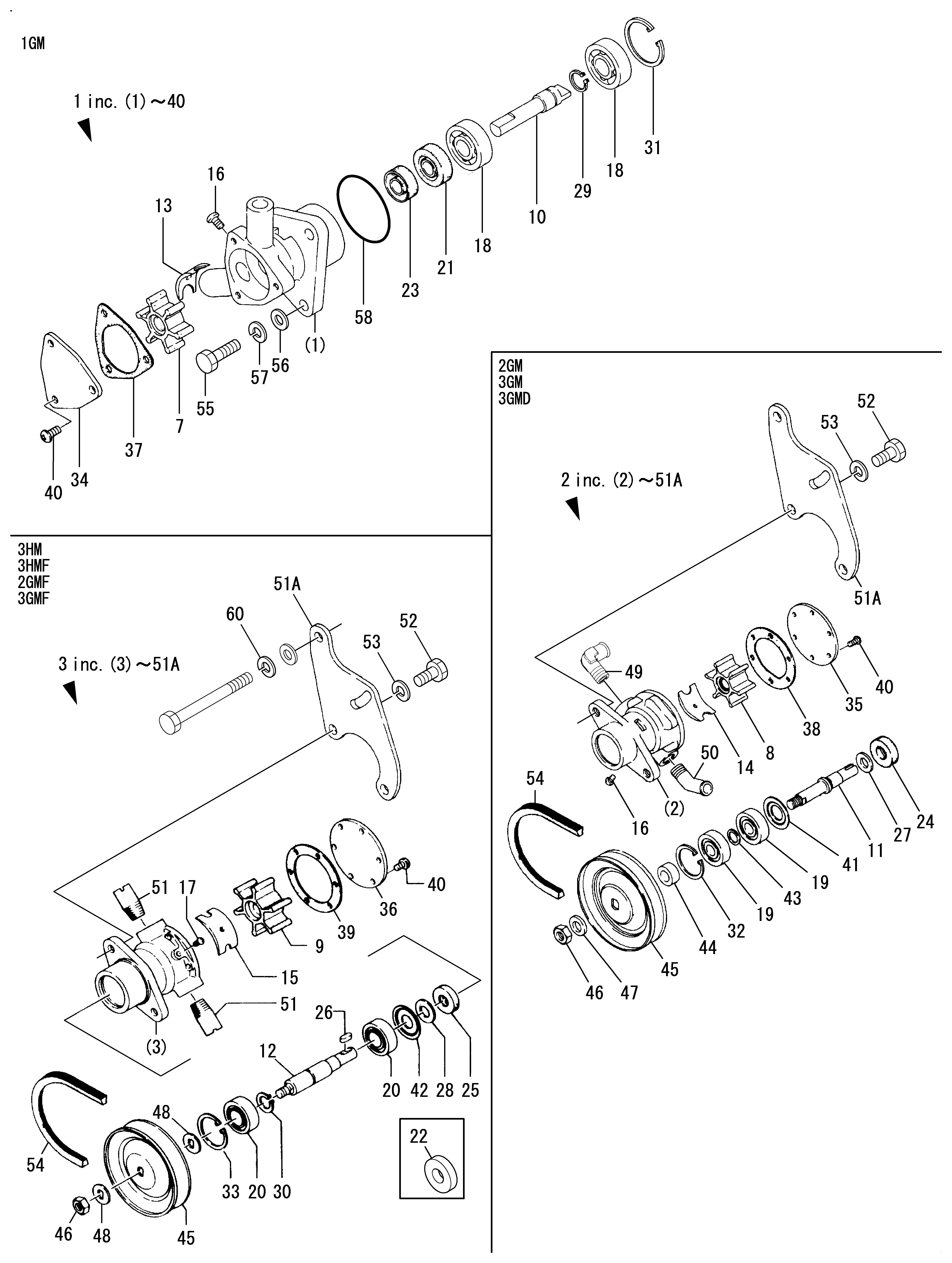 FIG 26. POMMES D'EAU DE COUVERTURE
