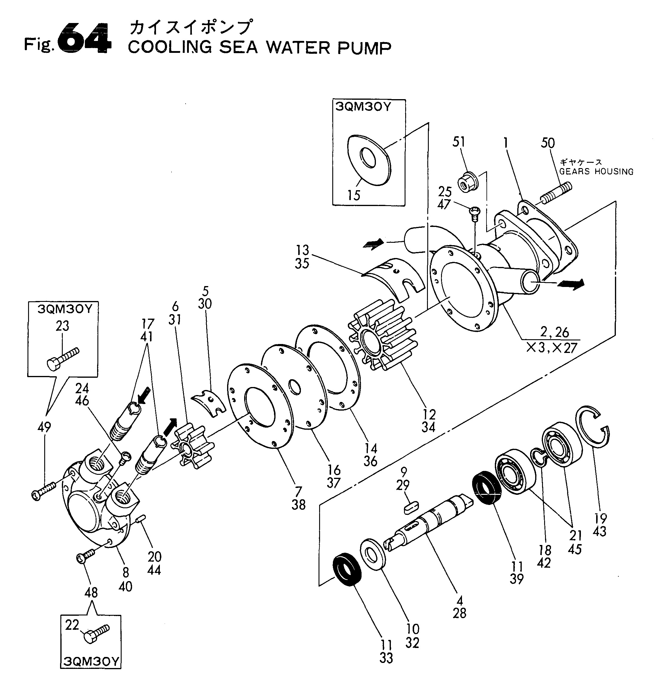 FIG 64. POMMES D'EAU DE COUVERTURE