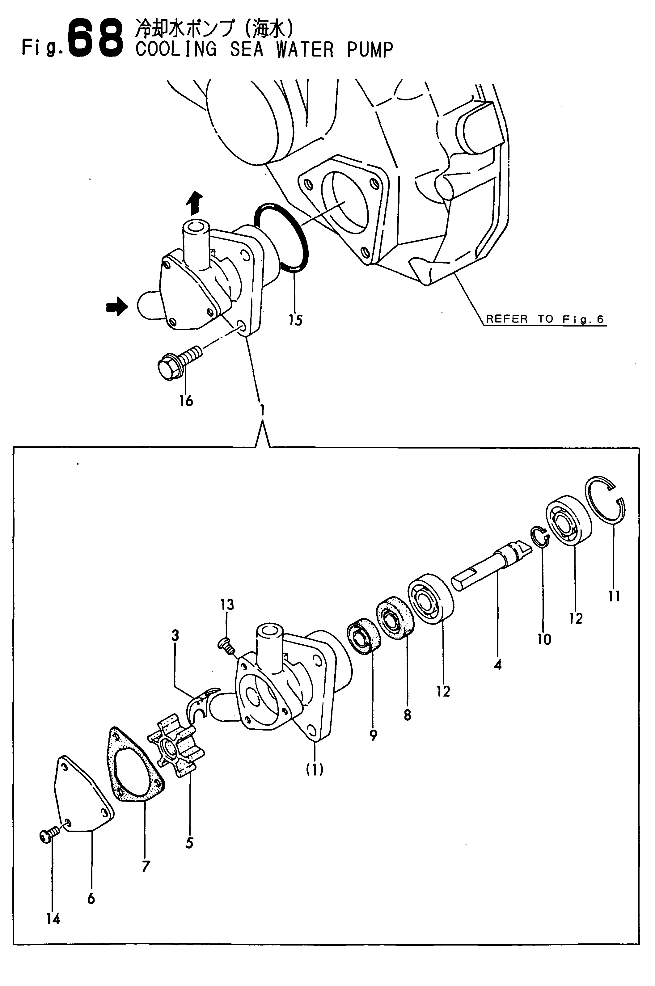 FIG 68. POMMES D'EAU DE COUVERTURE