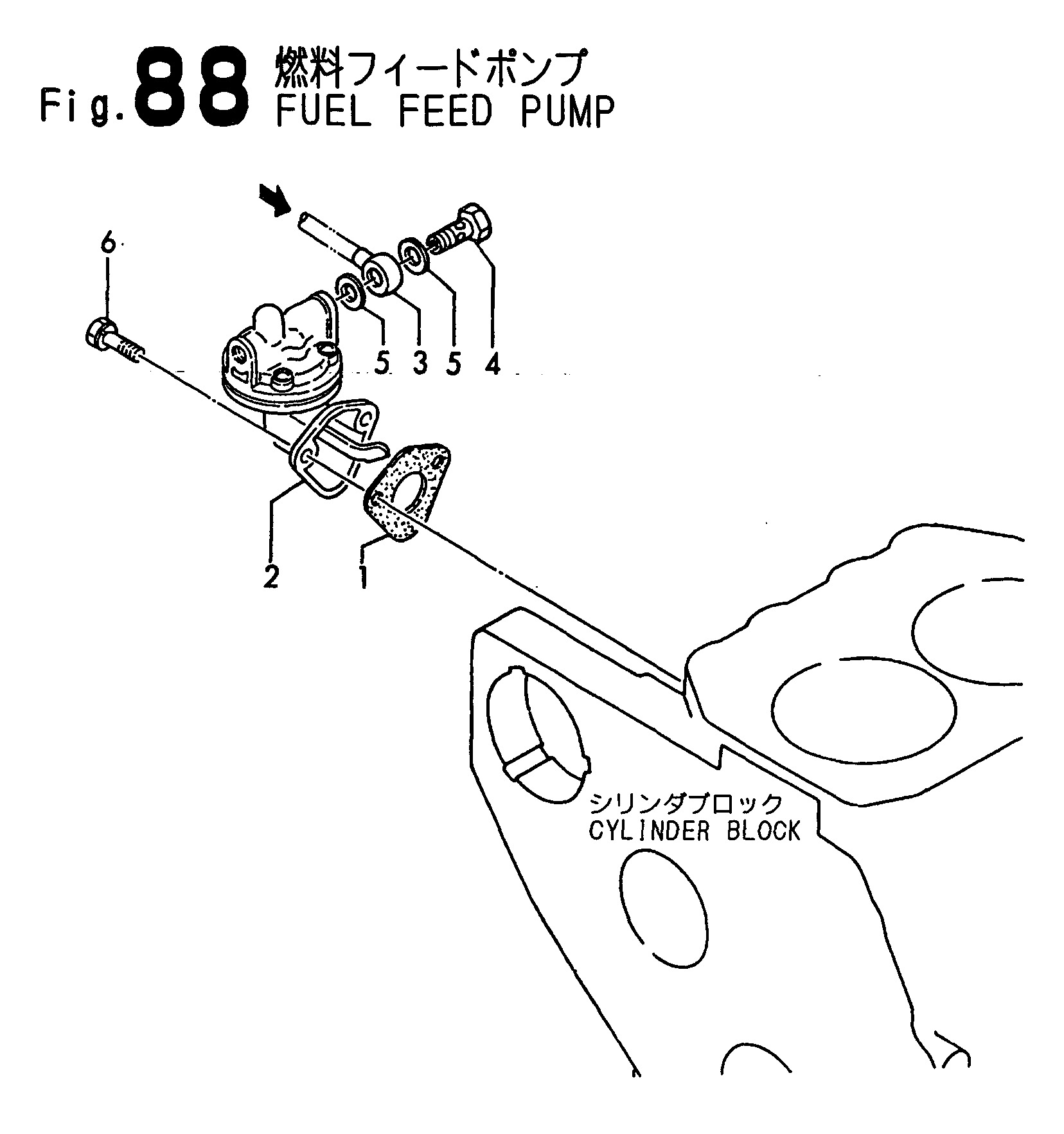 FIG 88. POMMES DE FEU