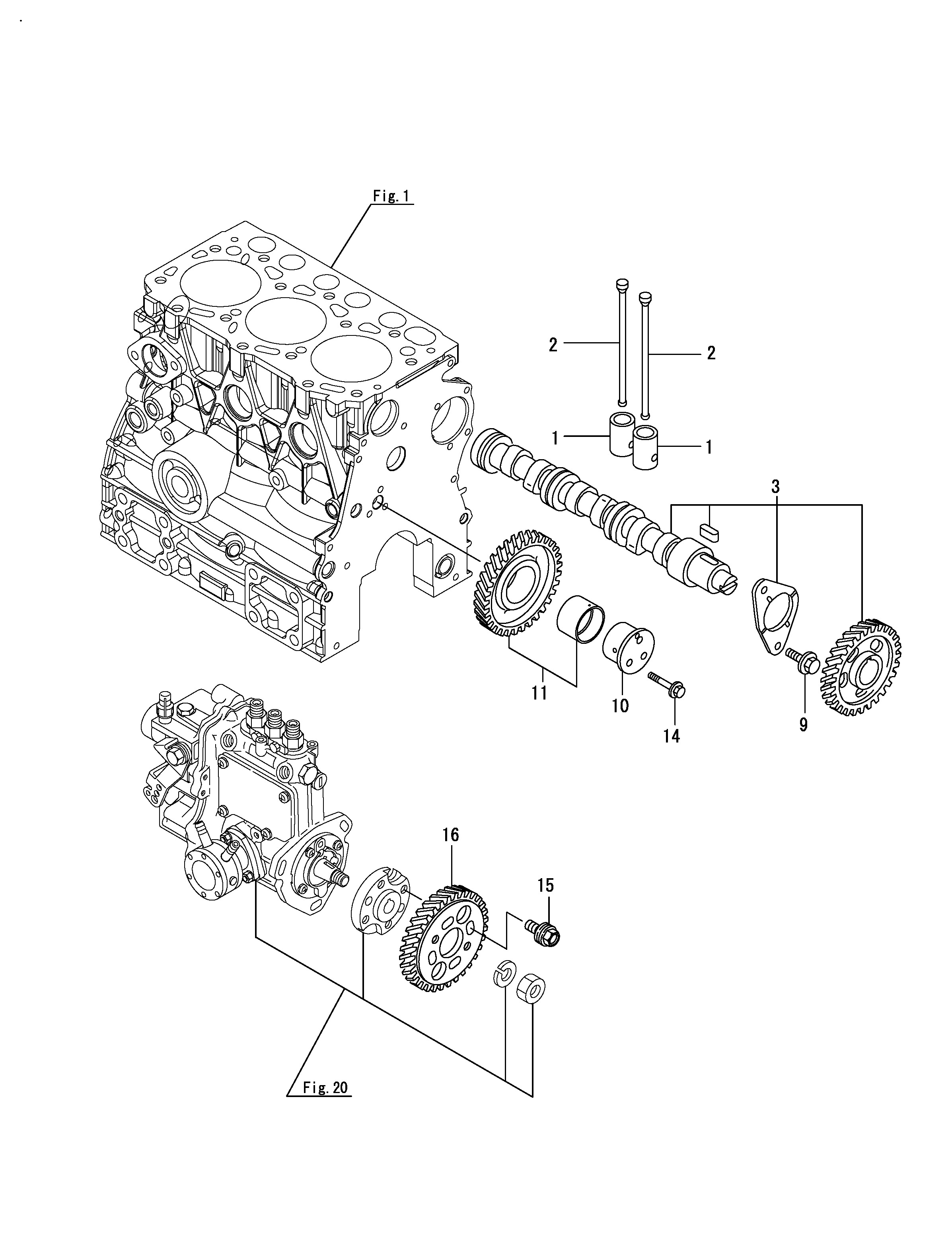 FIG 9. CAMSHAFT ET CROISSANCE