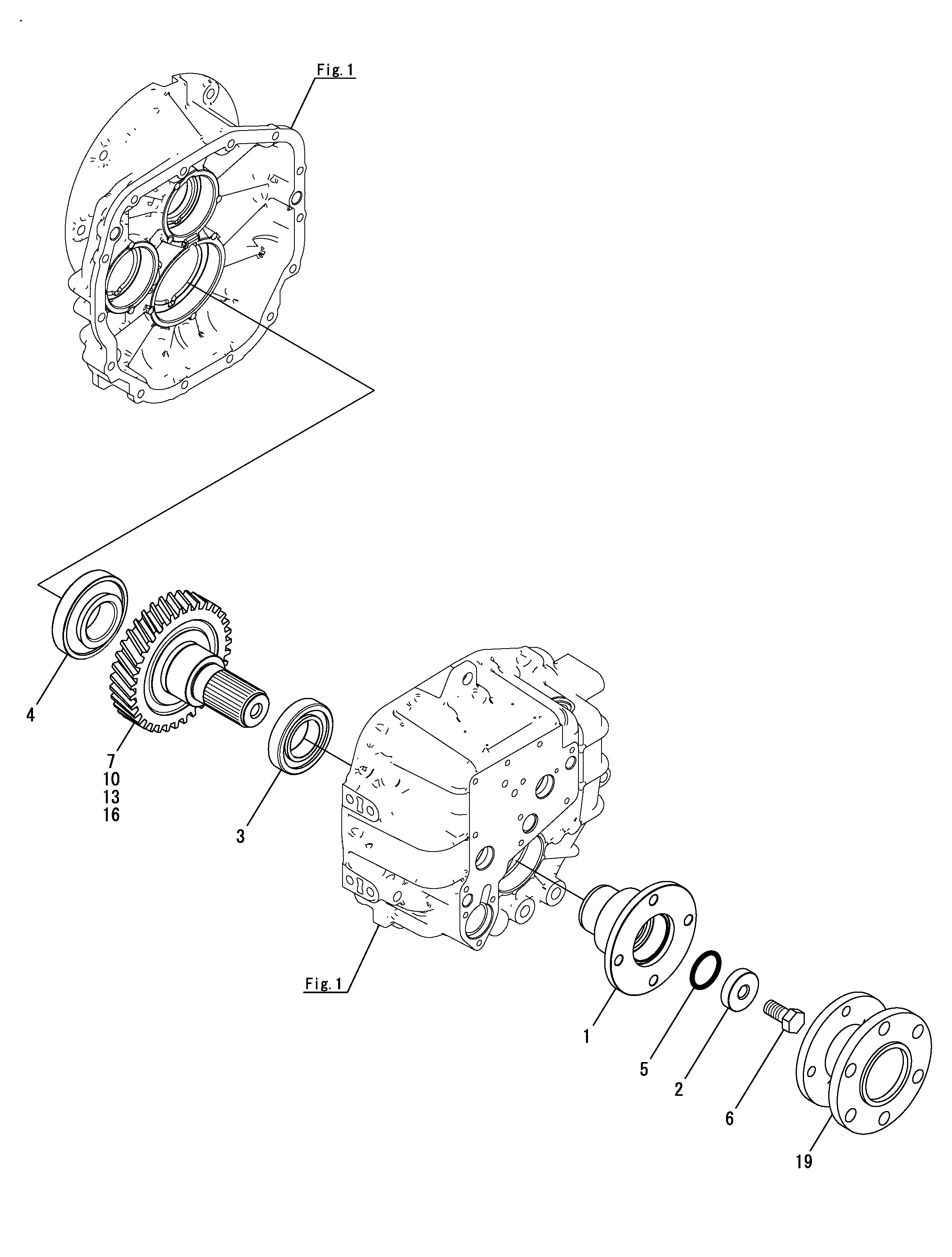 FIG 6. SHAFT EXTRATADO