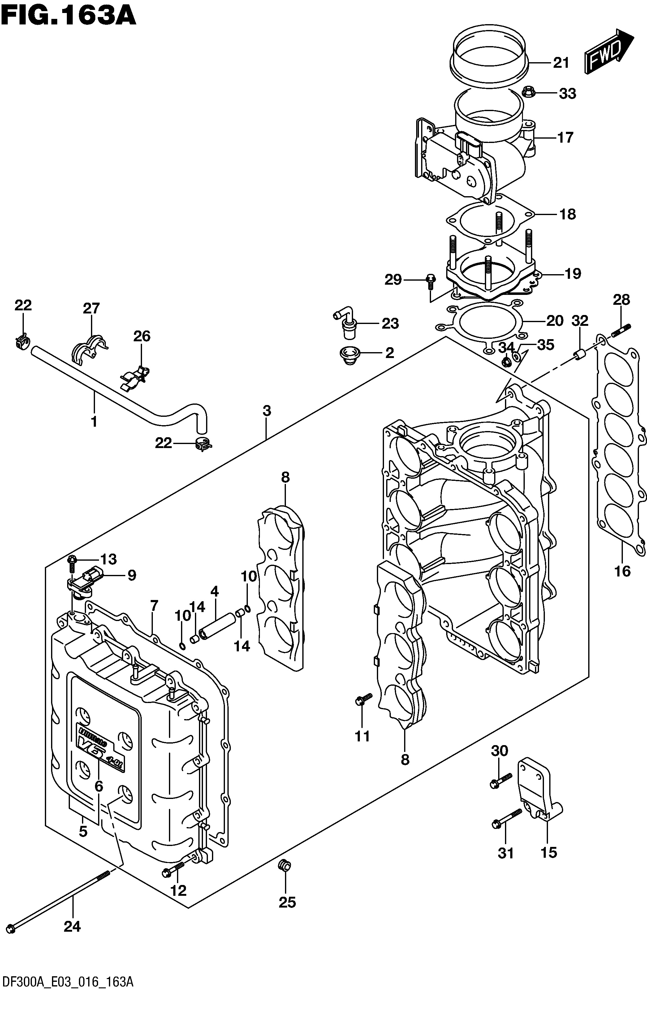 CORPS DE PAPILLON