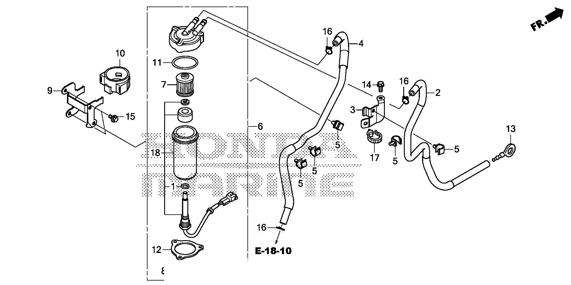 COLADOR DE COMBUSTIBLE (1)