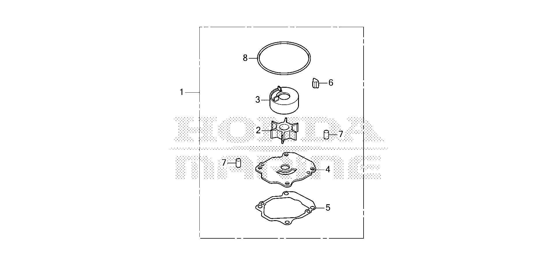 KIT POMPA GIRANTE (2)