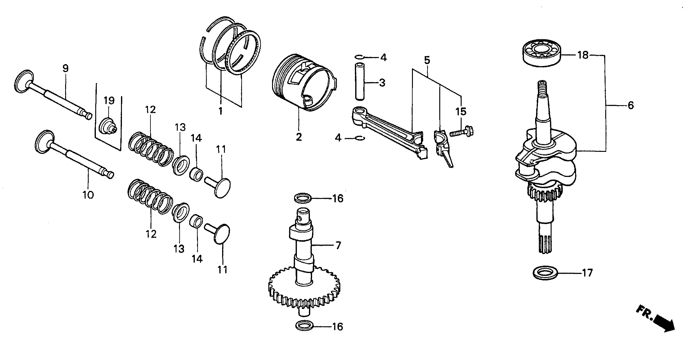 PISTON + SEGMENTS