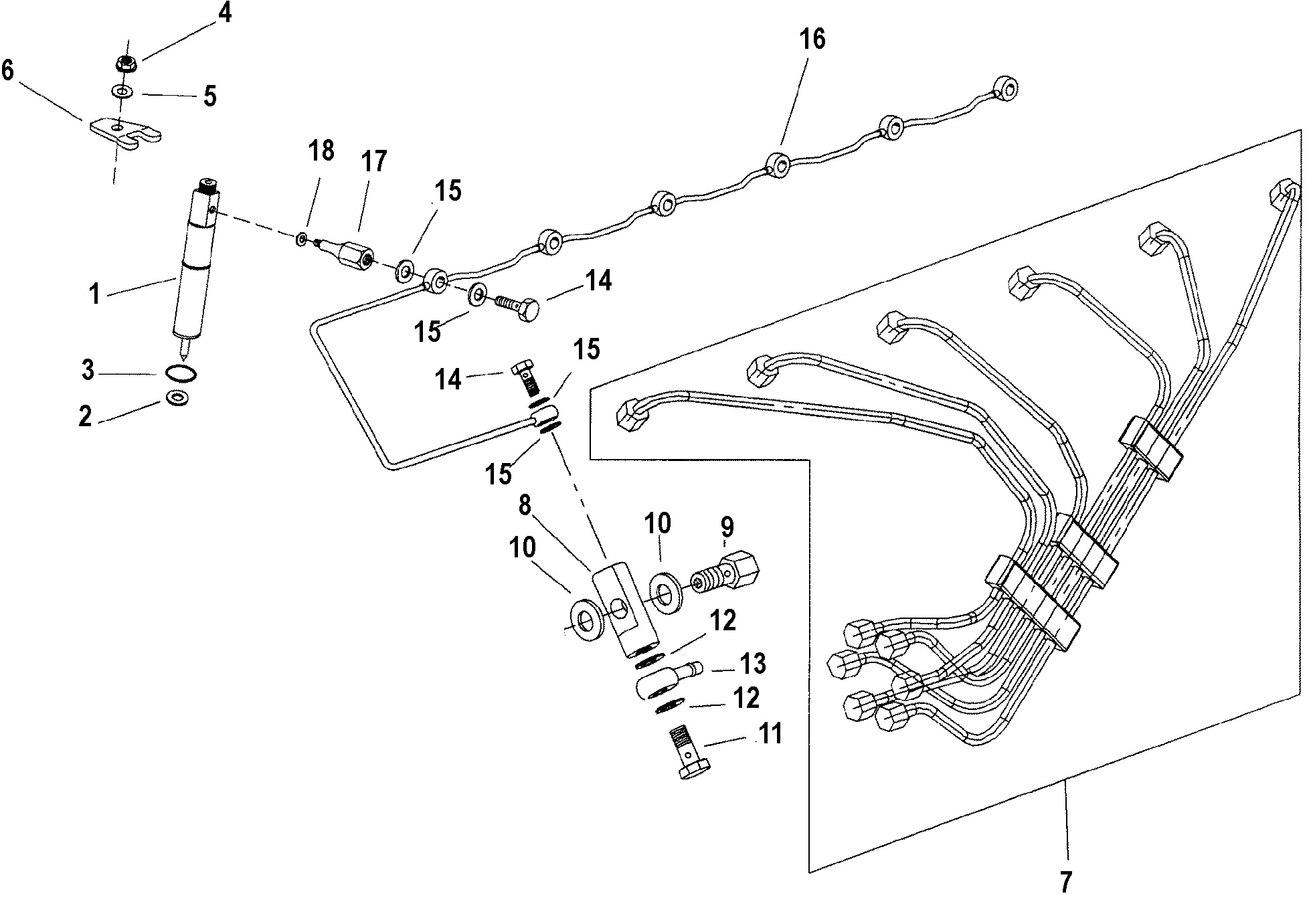 Fuel Lines And Nozzle