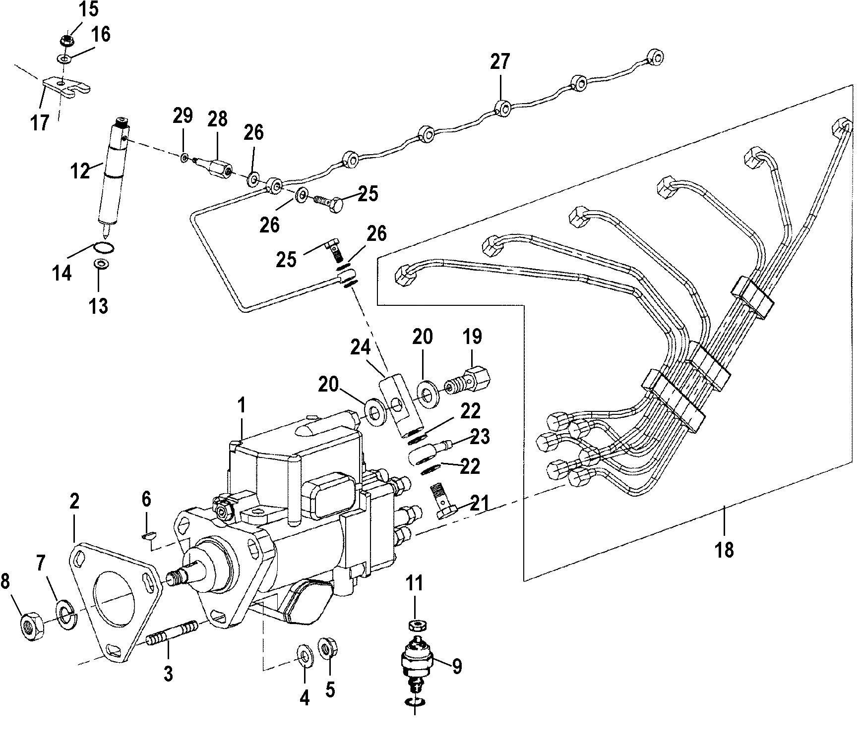 Injection Pump, Nozzle And Lines