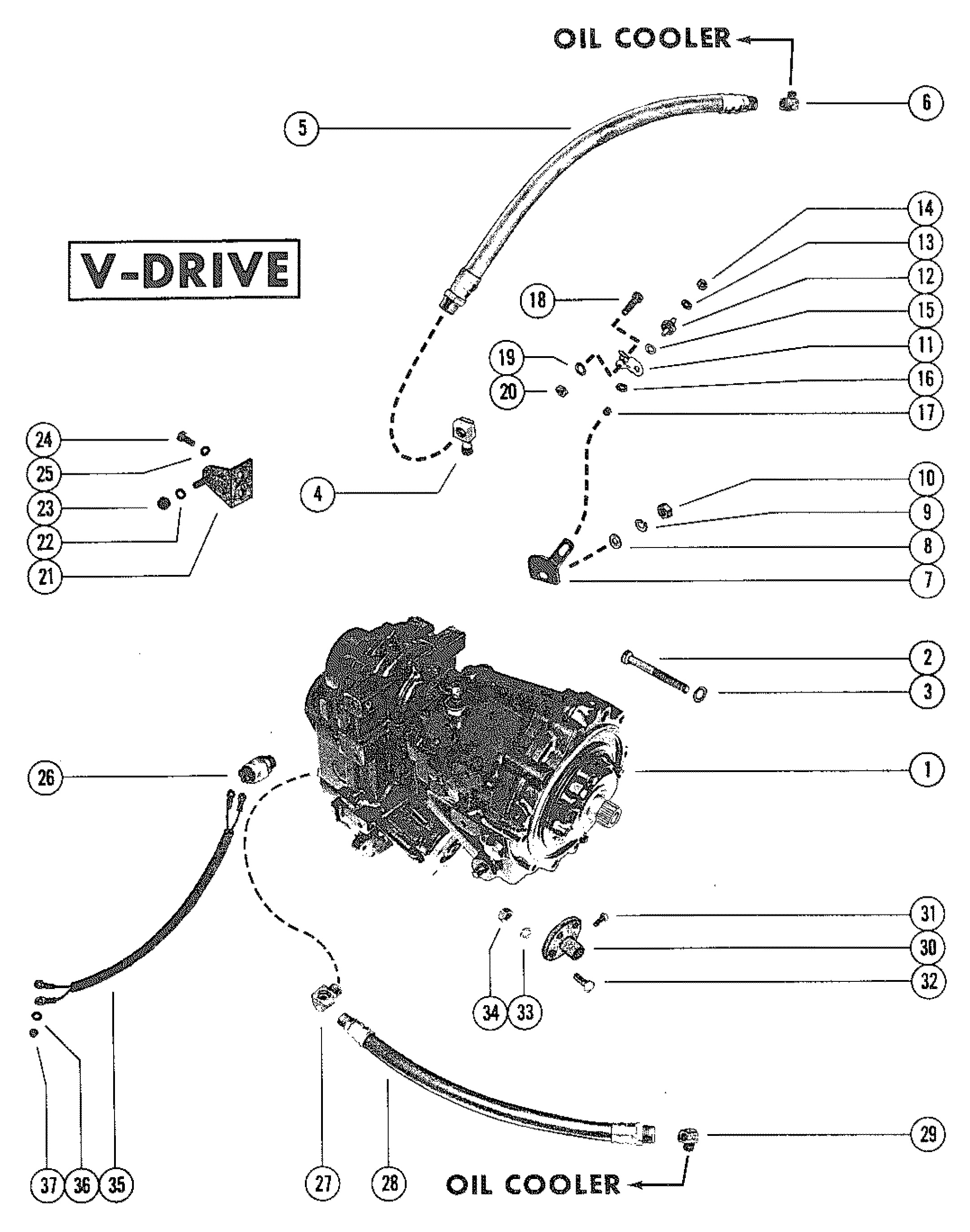 GRUPPO TRASMISSIONE (V-DRIVE)
