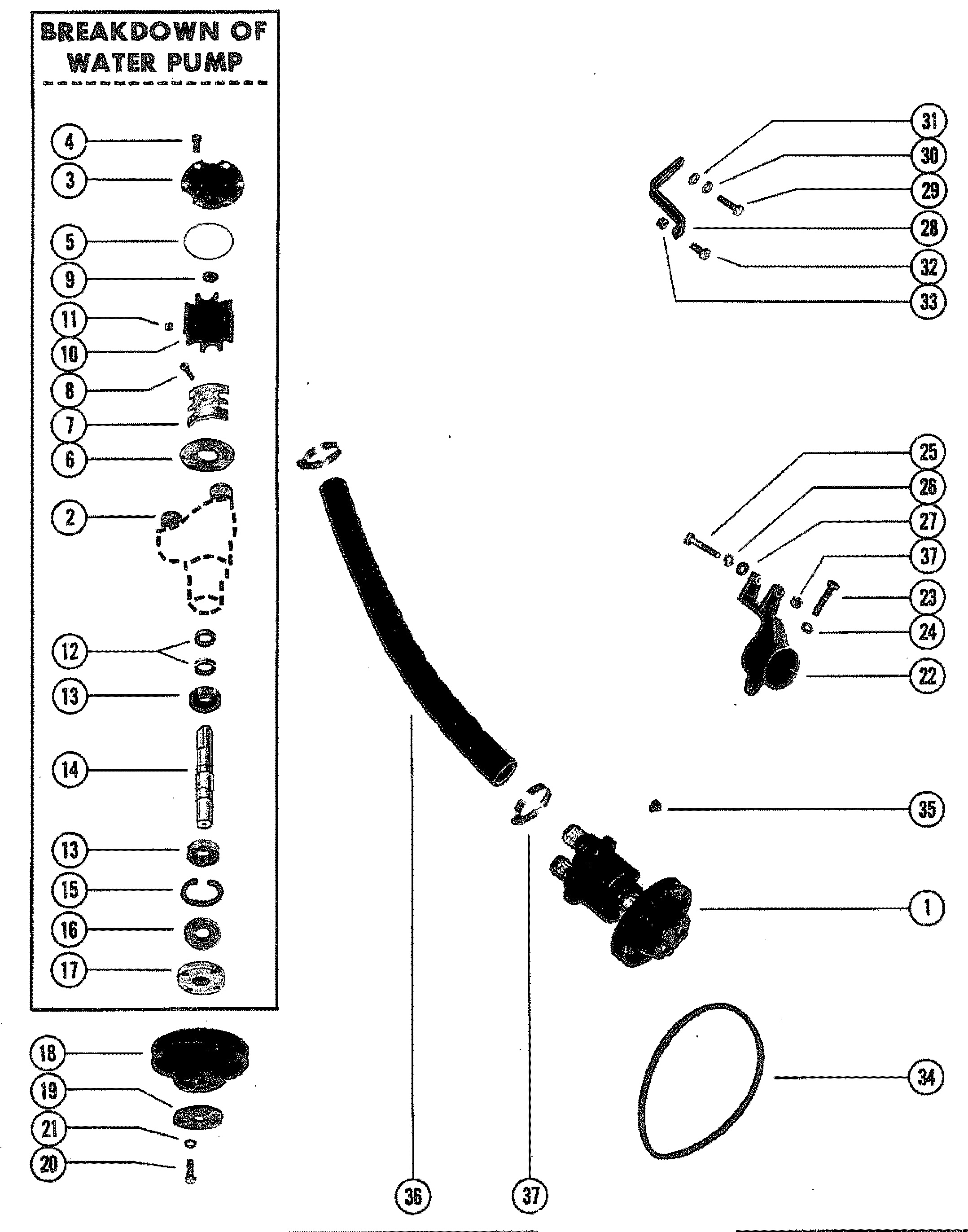 WATER PUMP ASSEMBLY