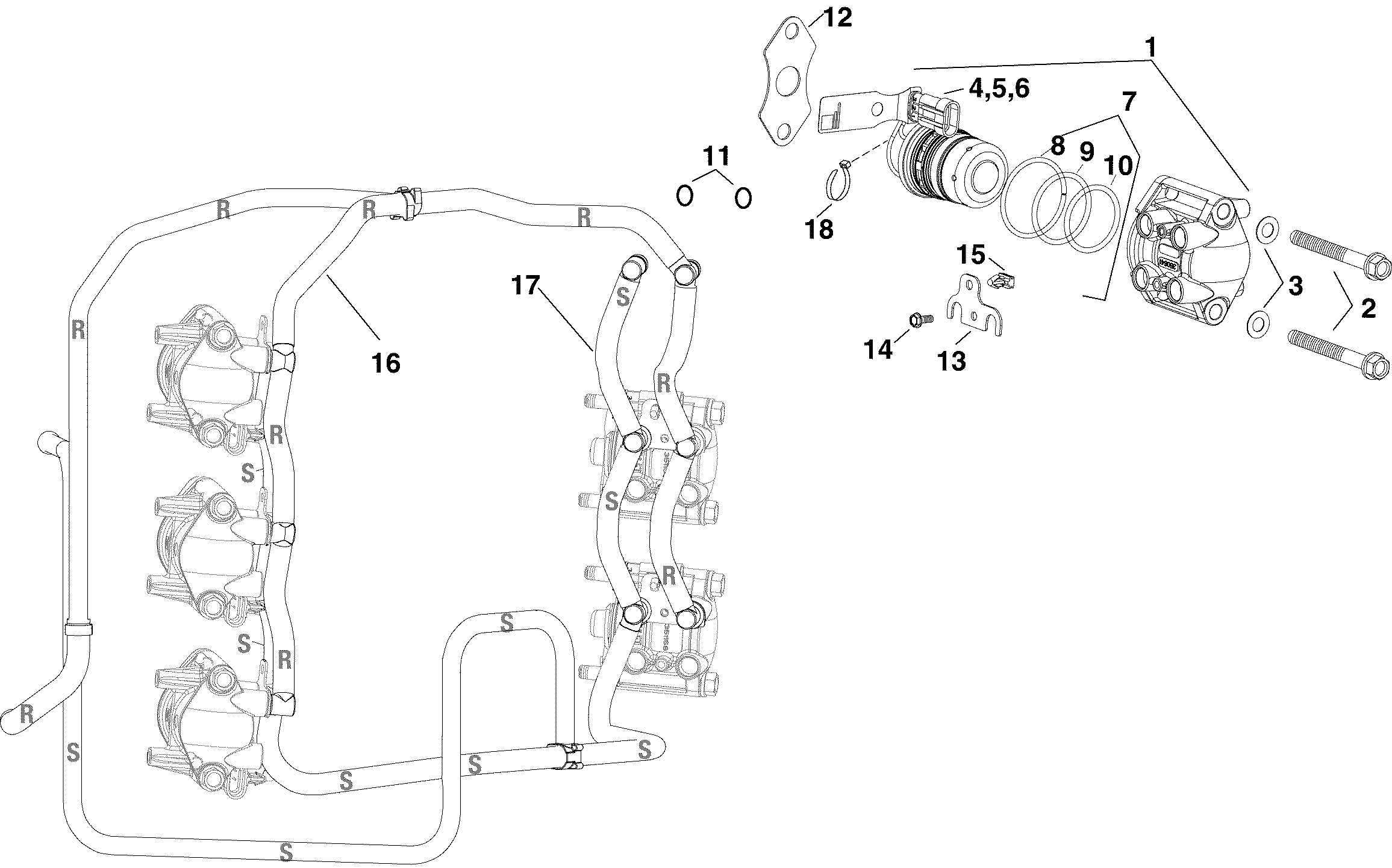Fuel rails and fuel injector