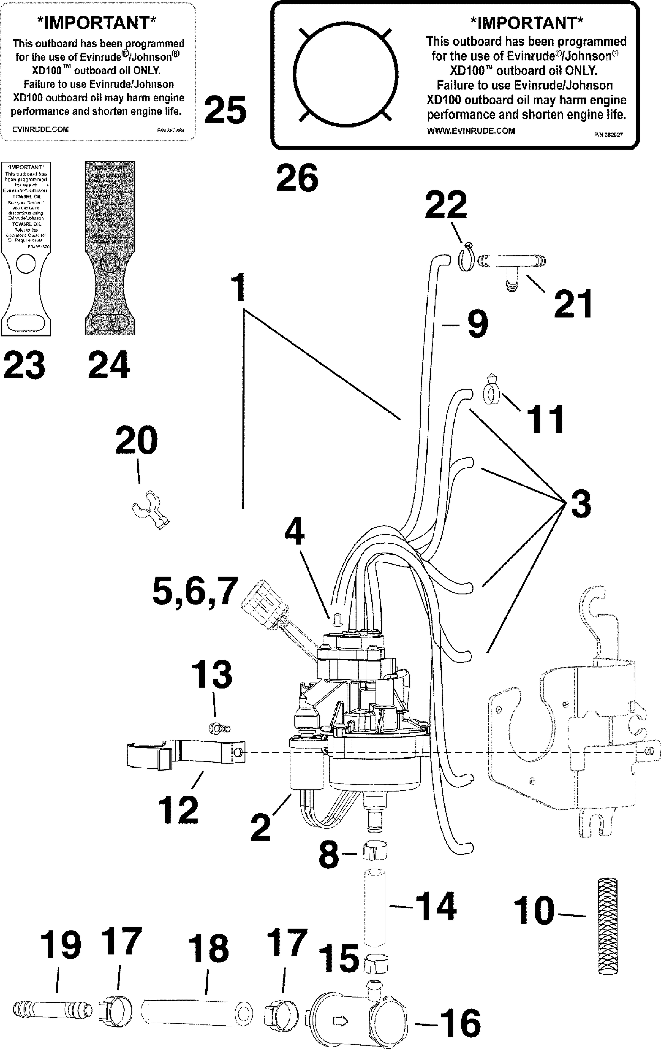 Pompa dell’olio (3,3 L)