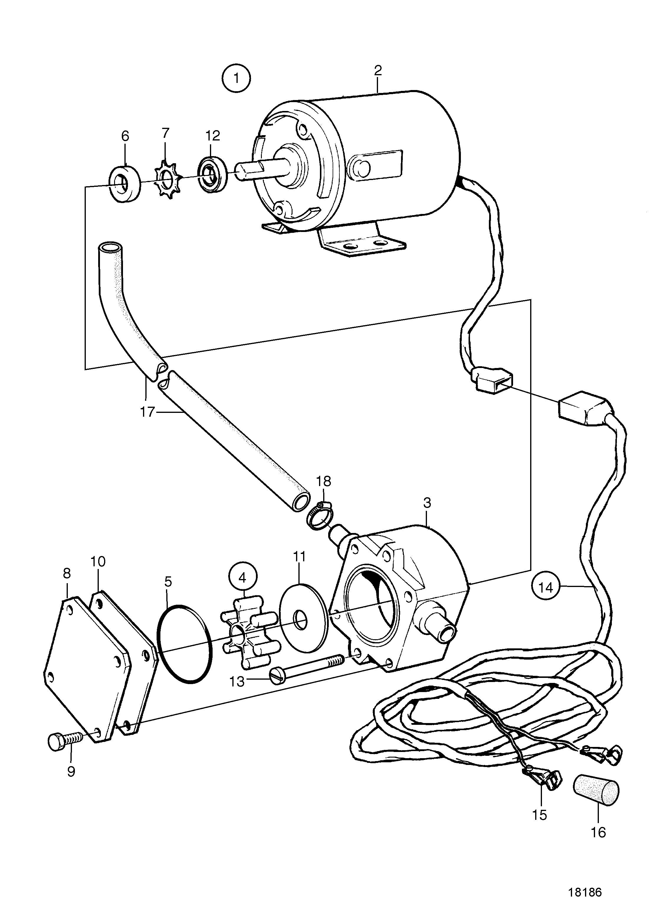 Pompe de cale électrique