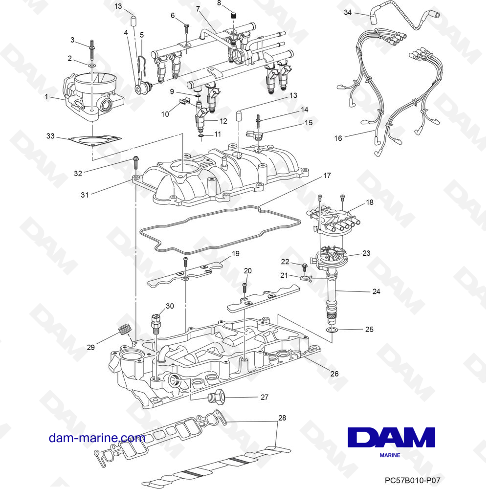 Vue éclatée ASSEMBLAGE DU BLOC-CYLINDRES pour moteur PCM Excalibur 330 (2002 & -)