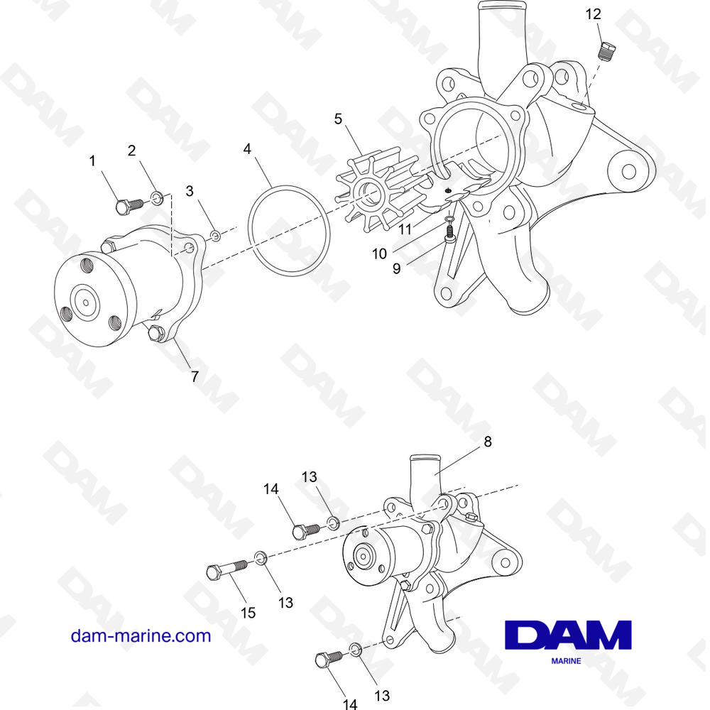 Vue éclatée POMPE DE REFROIDISSEMENT À EAU BRUTE pour moteur PCM Excalibur 330 (2002 & -)