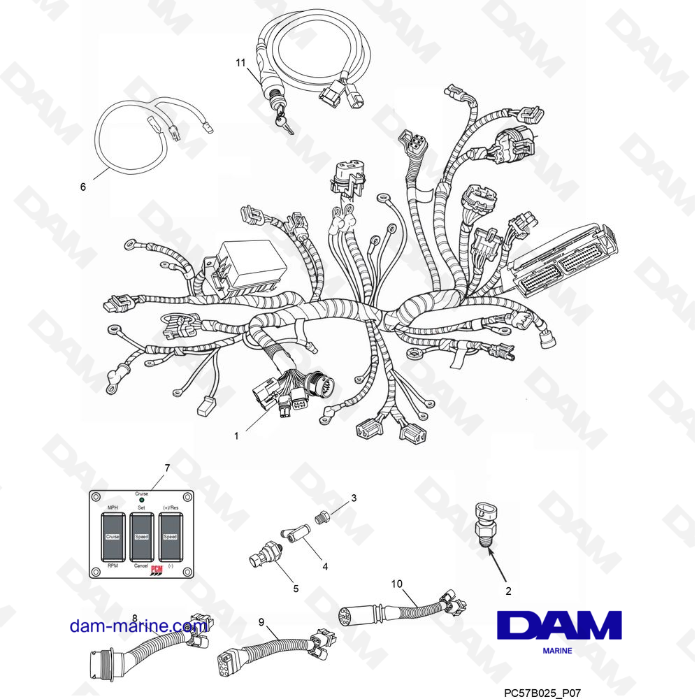 Vue éclatée FAISCEAUX DE CÂBLES ET ÉMETTEURS pour moteur PCM Excalibur 330 (2002 & -)