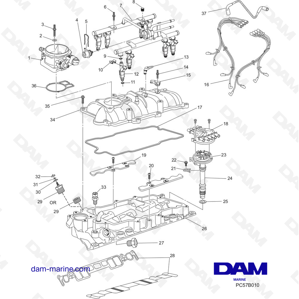 Vue éclatée COLLECTEUR D'ADMISSION pour moteur PCM Excalibur 330 (2002 - 2005)