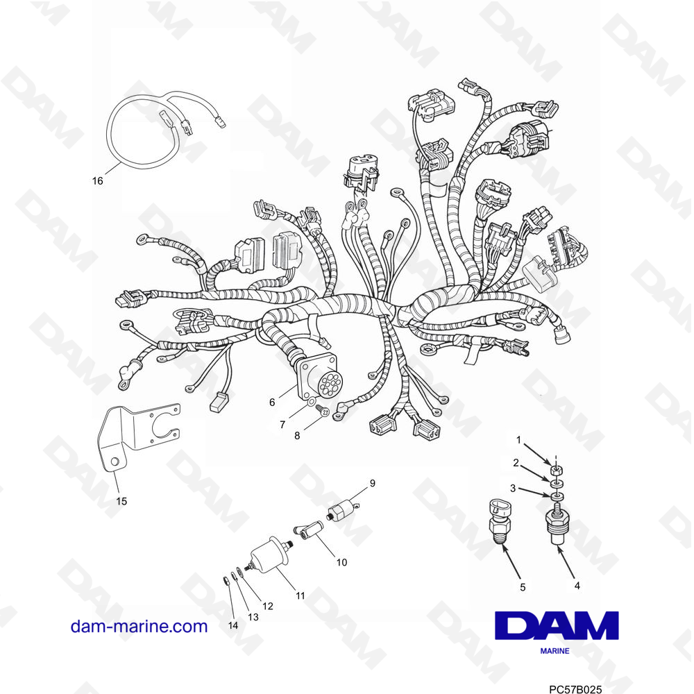 Vue éclatée FAISCEAUX DE CÂBLES pour moteur PCM Excalibur 330 (2002 - 2005)